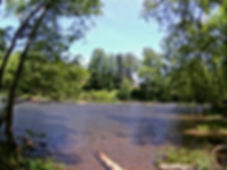 P7371250 - Copy.jpg